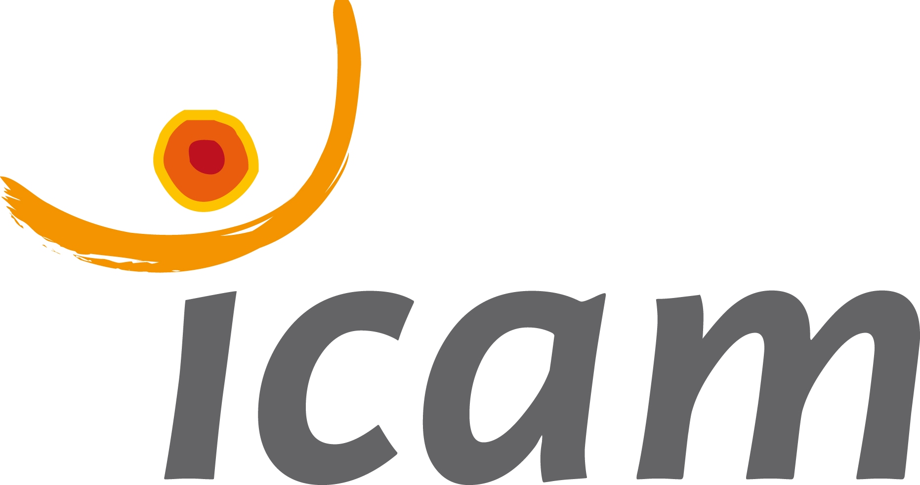 logo_icam_complet